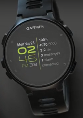 735XT With Line Watch Face