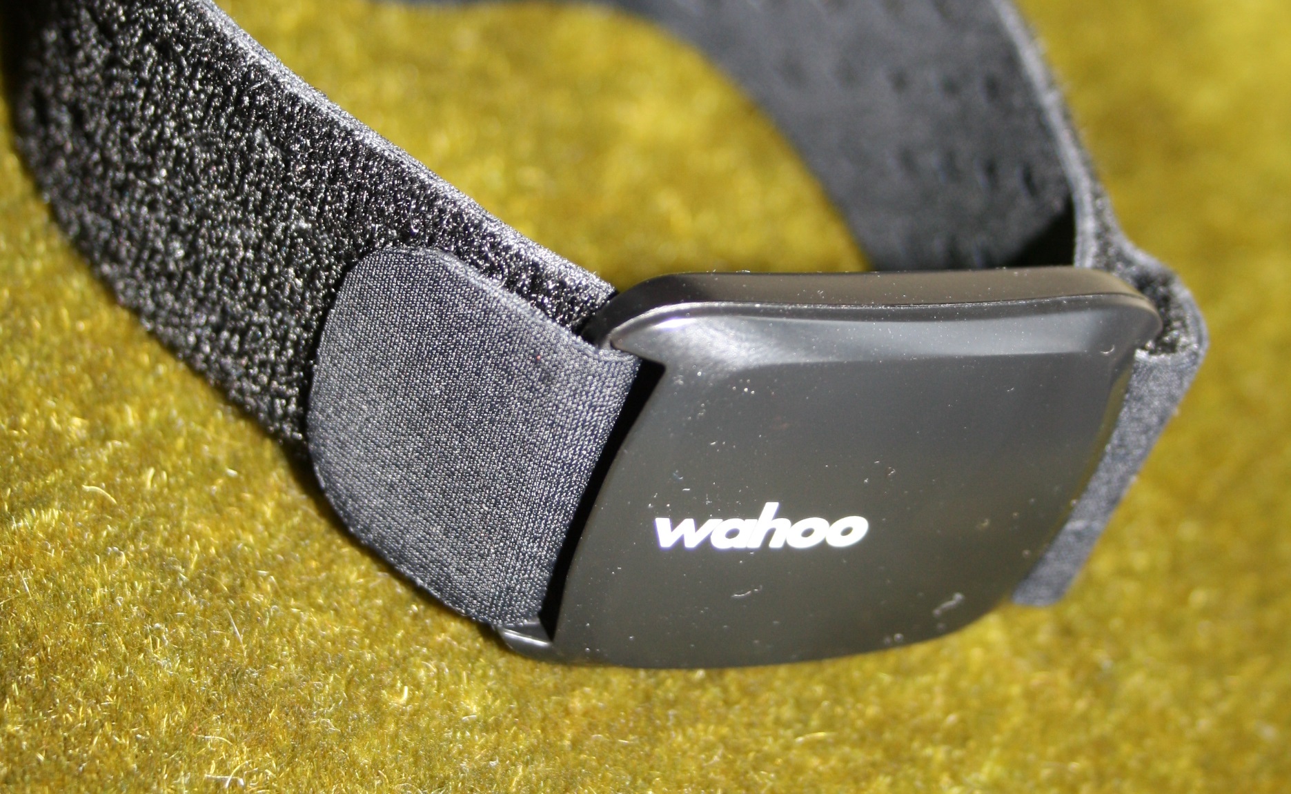 Wahoo Tickr Fit Review